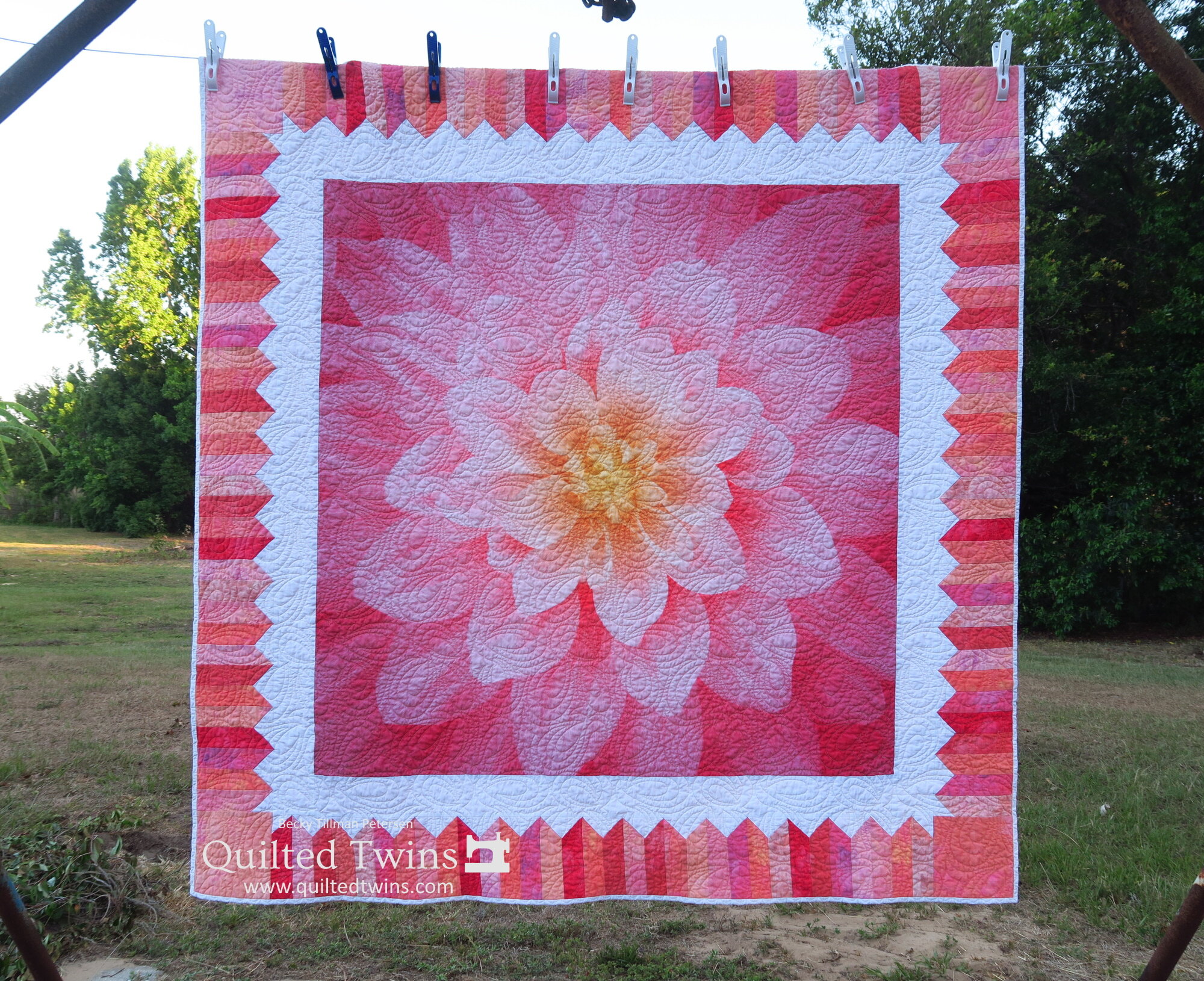 Dream Big Delight” (Wild Rose) - a Quilt Panel Kit — Quilted Twins